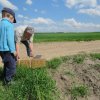 Wsiedlenie Kuropatw w łowisko 10.05.2016 obw 266 i 277